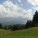 Romanian field of green