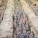 The Terracotta Army from Xi’an China