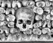 Skull from the chapel of bones Evora