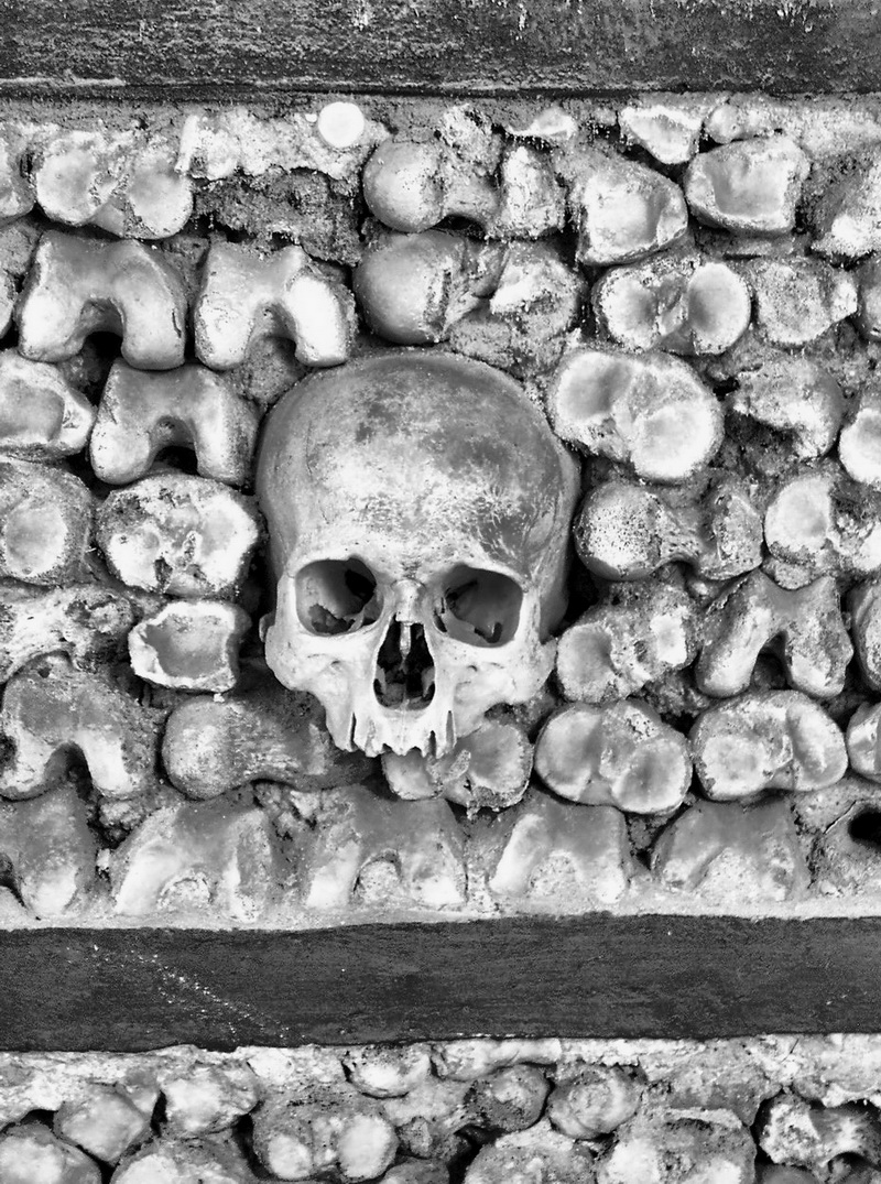 Skull from the chapel of Bones Evora, Portugal